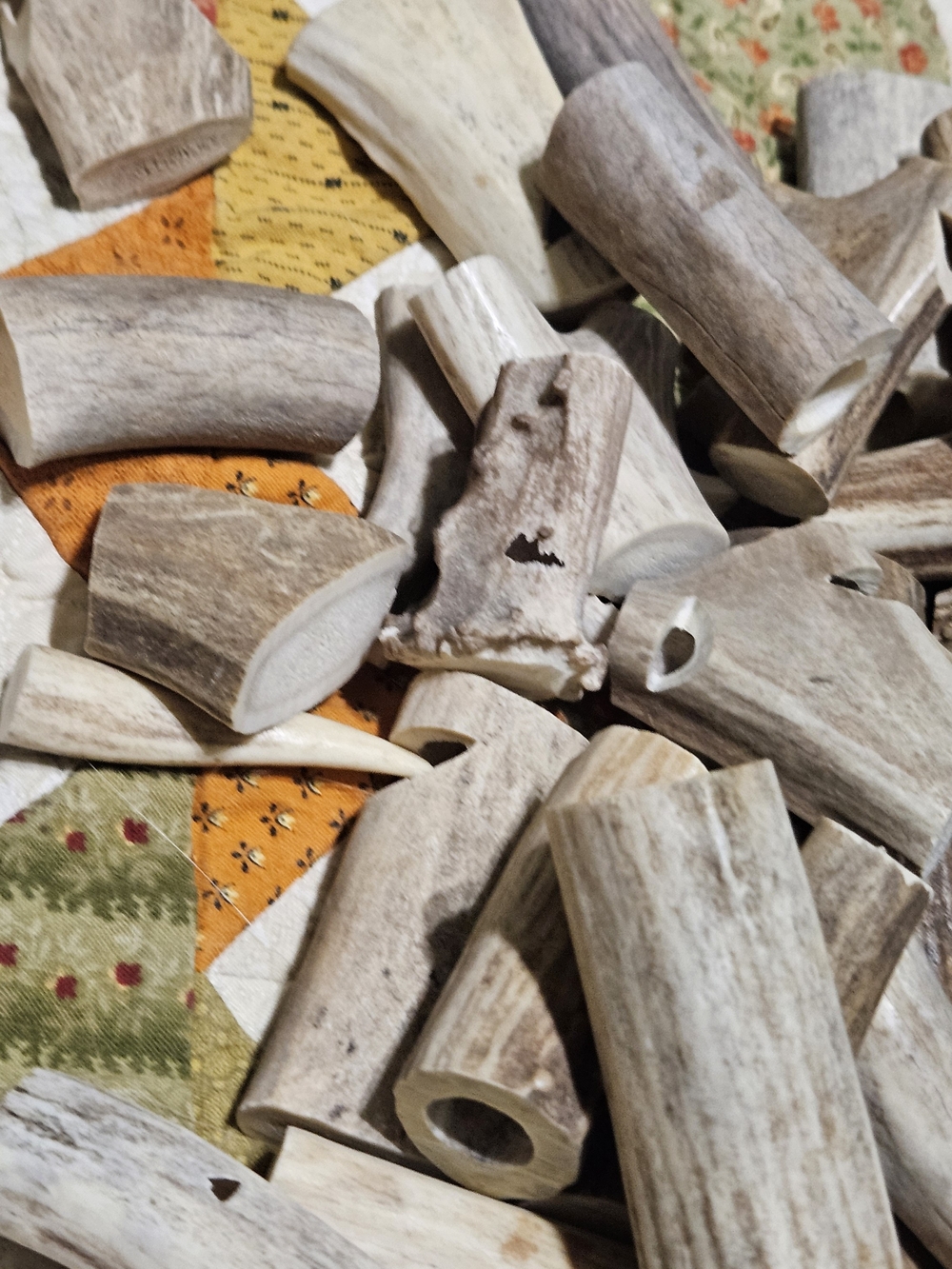 Natural Deer Antler Whistles?Accents? Cut And Drilled – Neutral Gray/Brown - Picture 5 of 16